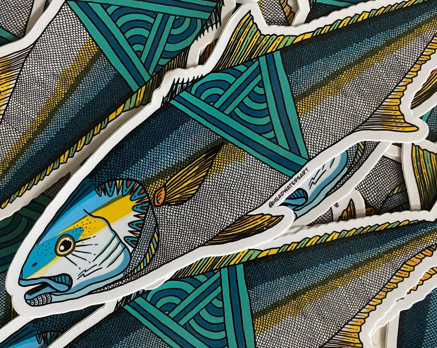 Yellowtail Kingfish Decals