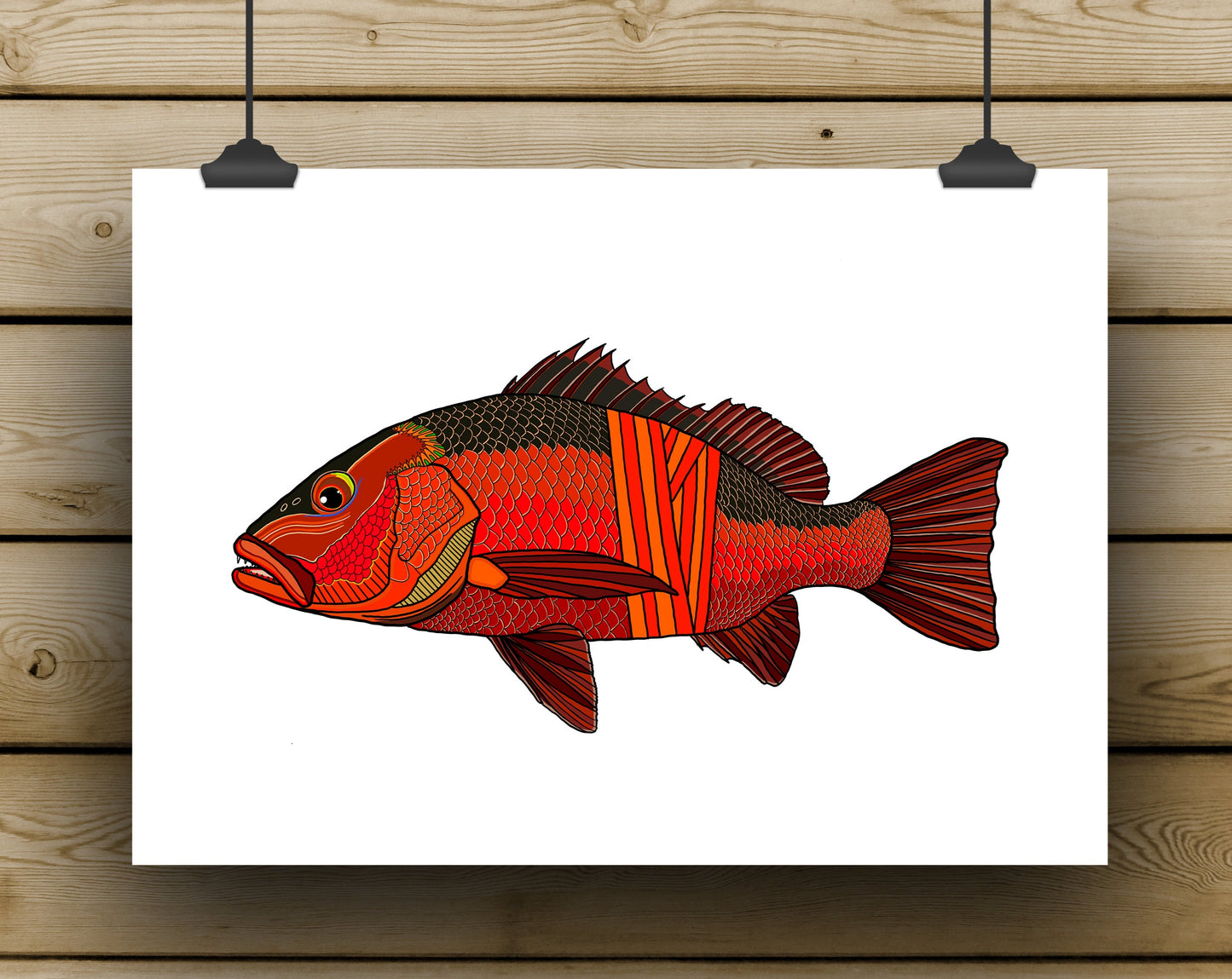 Mangrove Jack Prints - **MONTHLY PREORDER** See description