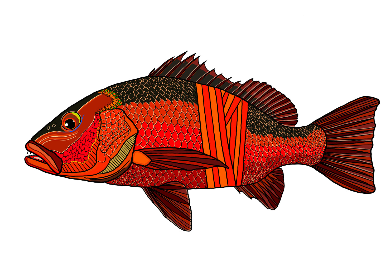 Mangrove Jack Decals