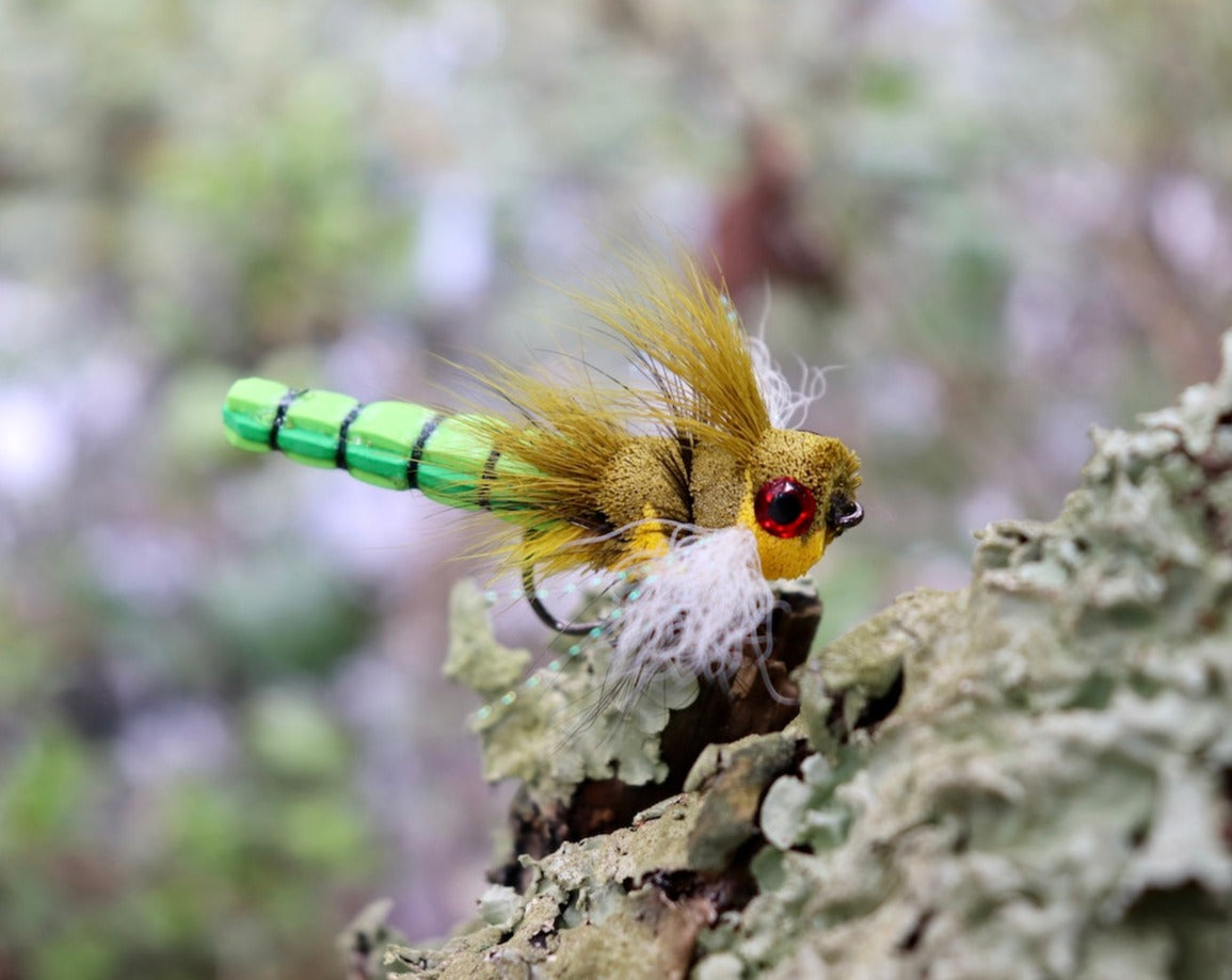 Popping Dragonfly