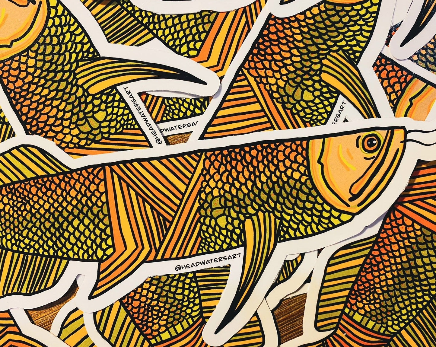 Saratoga artwork featuring hand-drawn art by Justin Webber. All fish measure approximately 120mm and 250mm. Premium vinyl stickers, specially laminated to resist the elements.