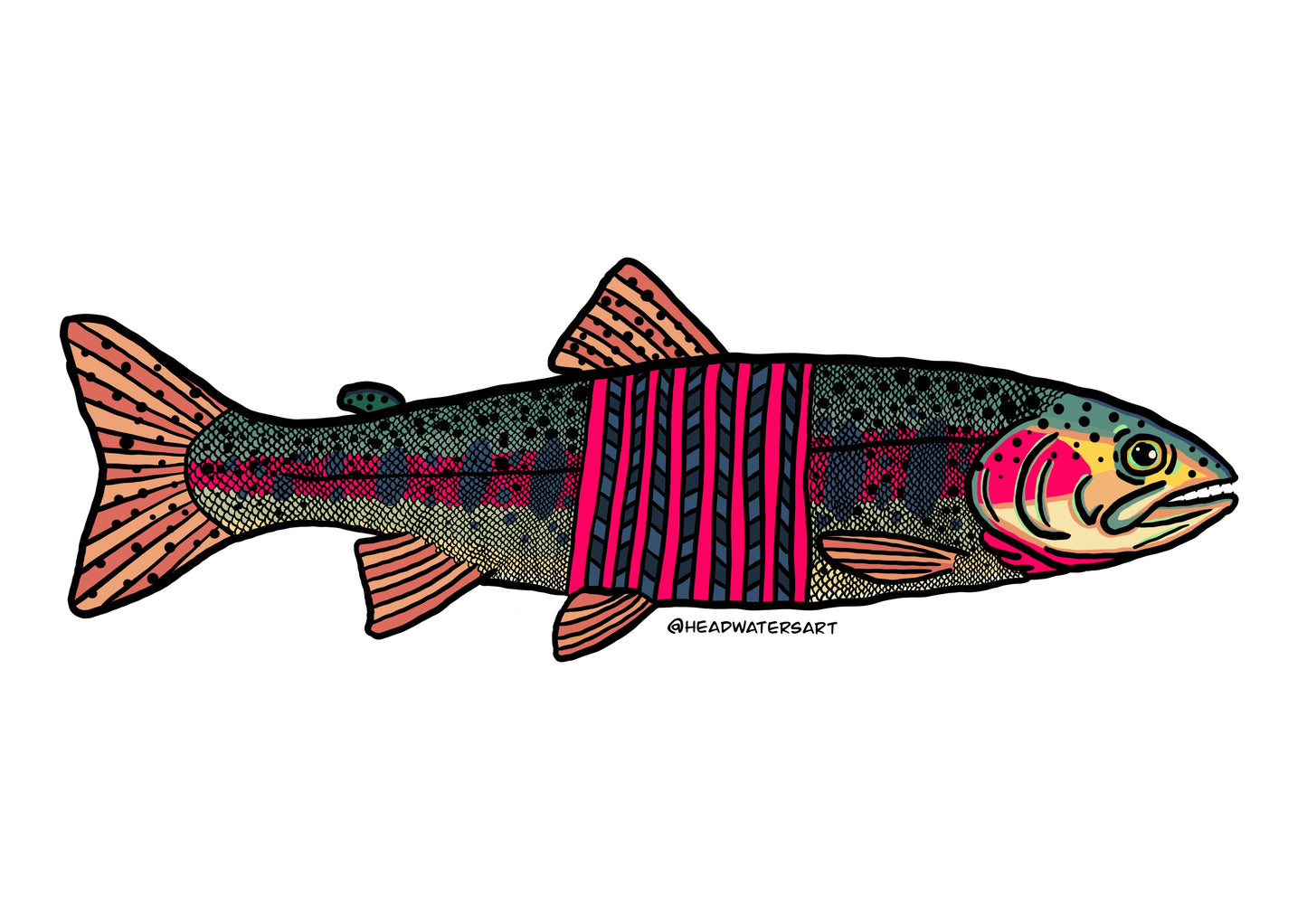 Rainbow Trout Decals