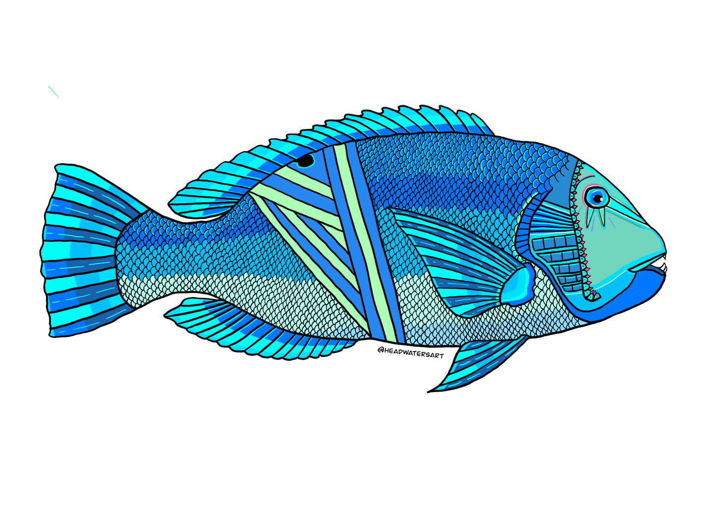 Blackspot Tusk Fish Decals