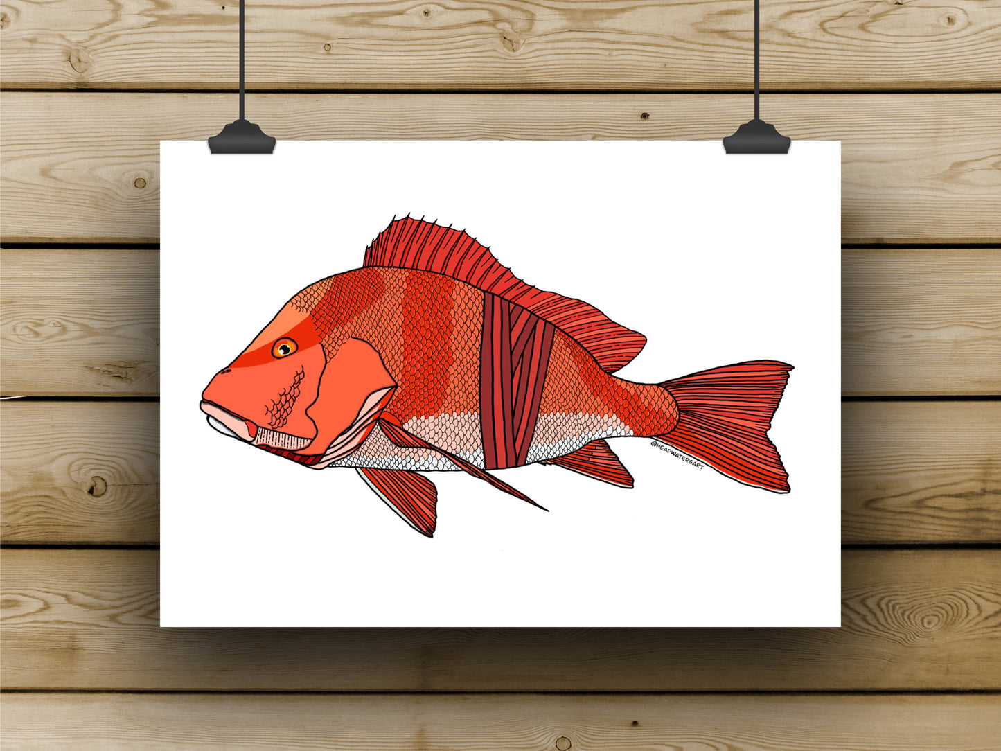 Red Emperor Prints - **MONTHLY PREORDER** See description