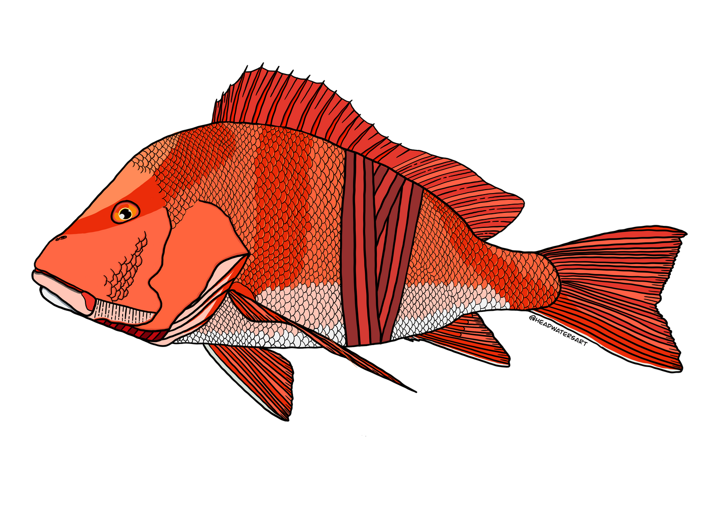 Red Emperor Prints - **MONTHLY PREORDER** See description