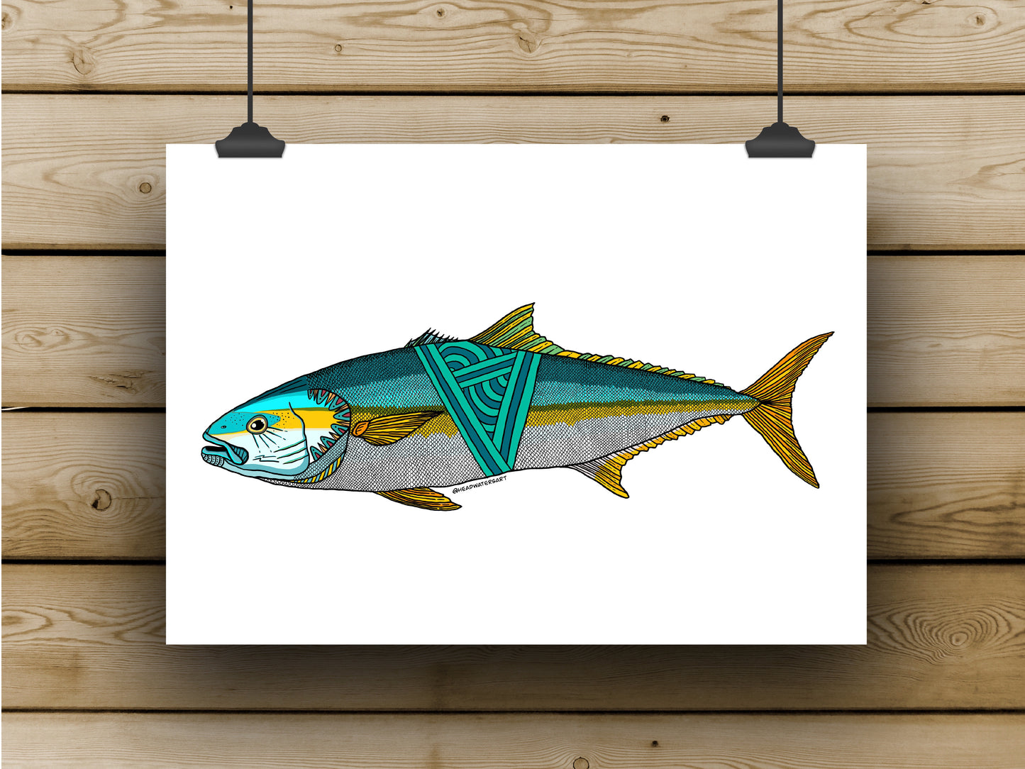 Yellowtail Kingfish Prints - **MONTHLY PREORDER** See description