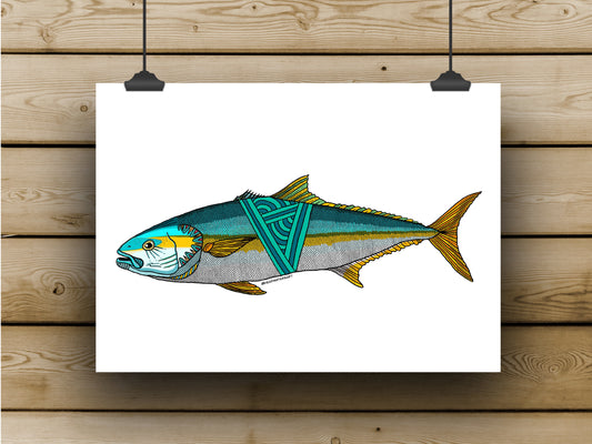 Yellowtail Kingfish Prints - APRIL **PREORDER**