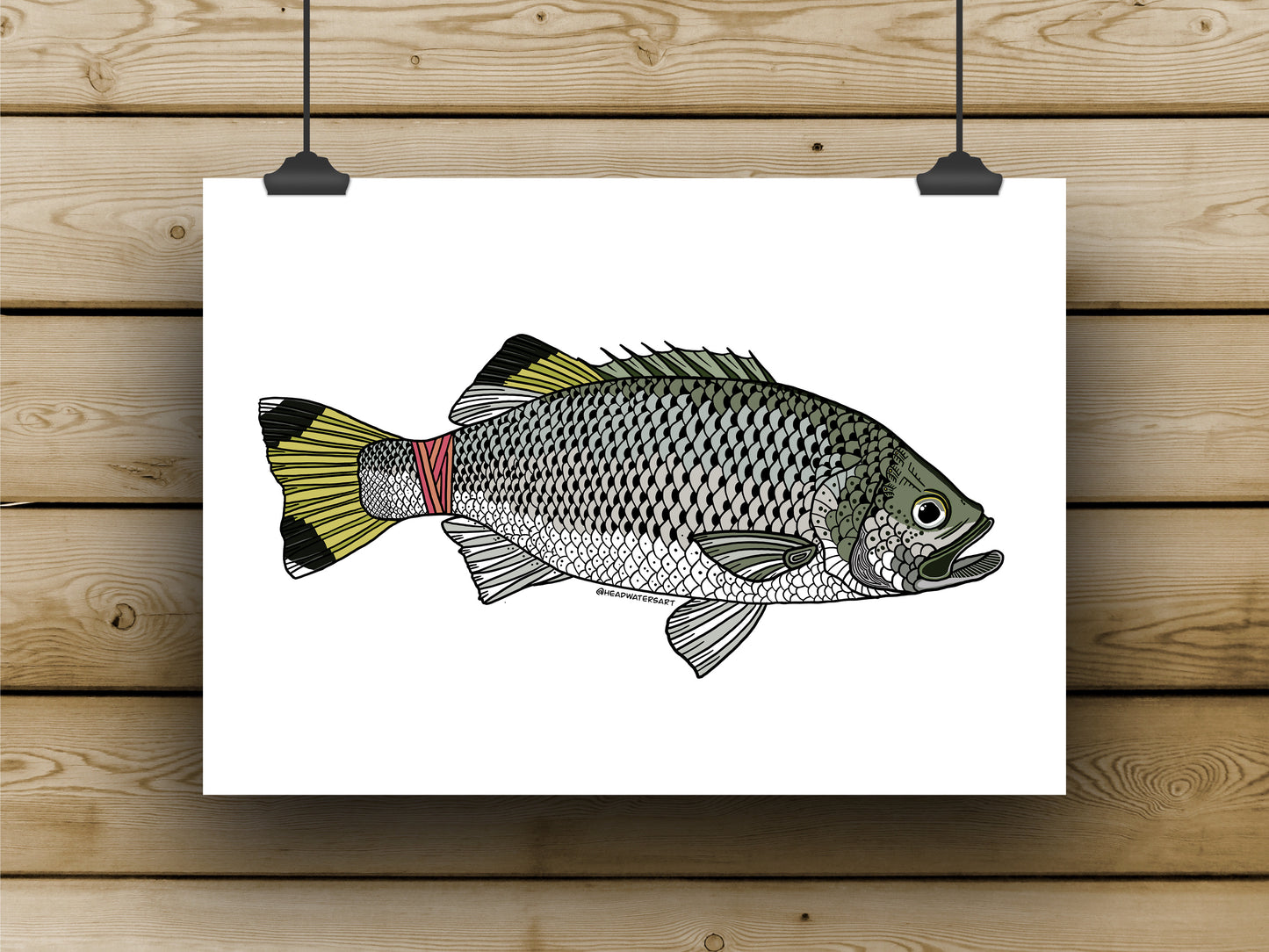 Jungle Perch - **MONTHLY PREORDER** See description
