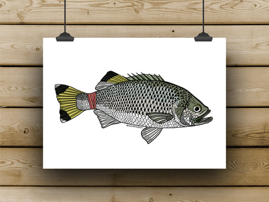 Jungle Perch - **MONTHLY PREORDER** See description