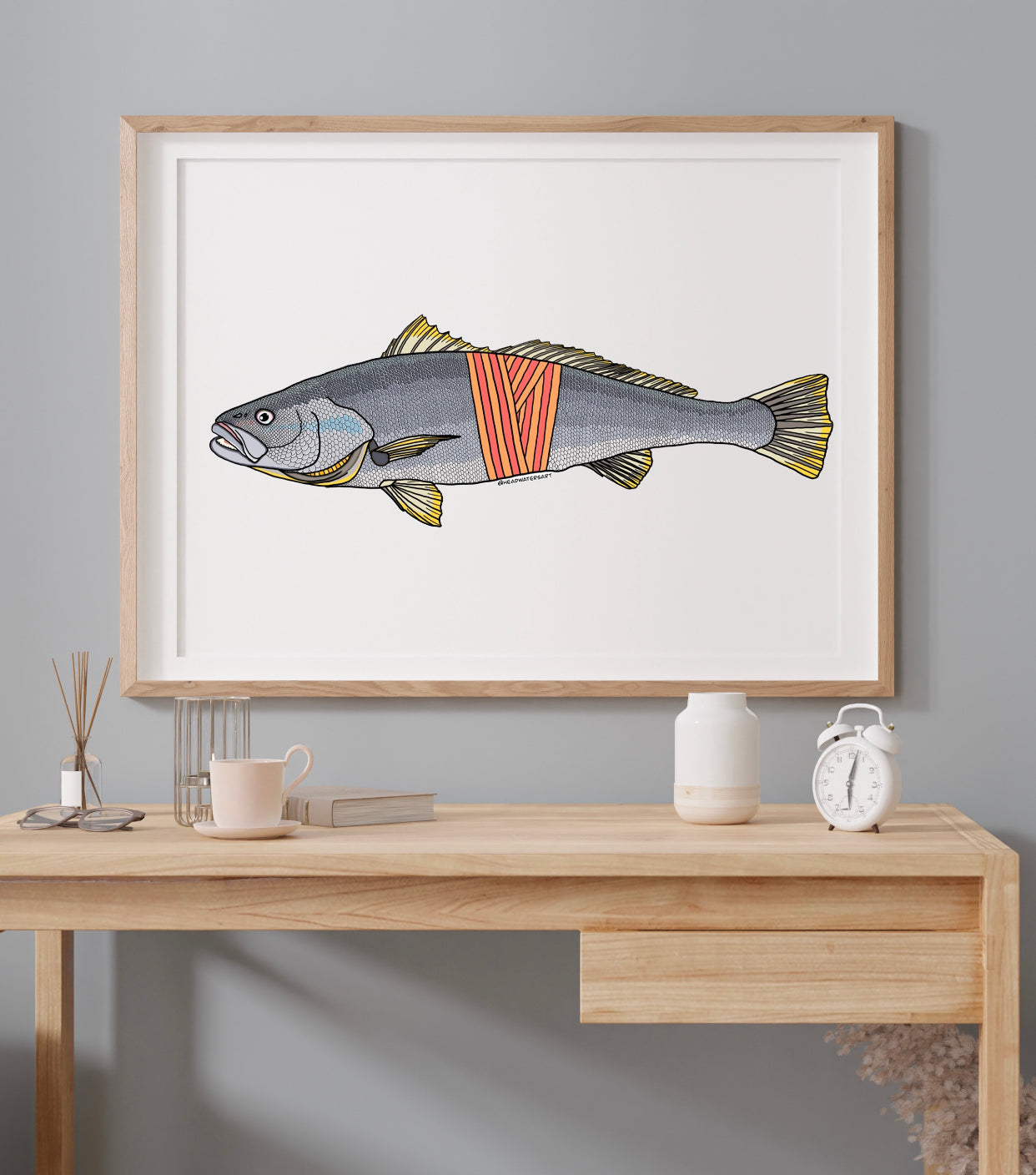 Mulloway / Jewfish - **MONTHLY PREORDER** See description