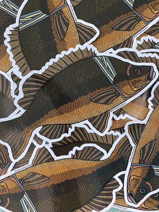Sooty Grunter Decals