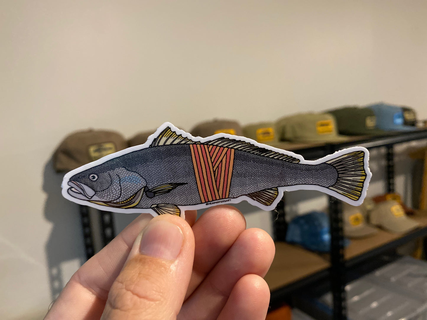 Mulloway Decals