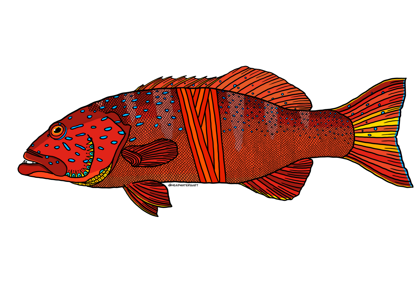 Coral Trout - **MONTHLY PREORDER** See description