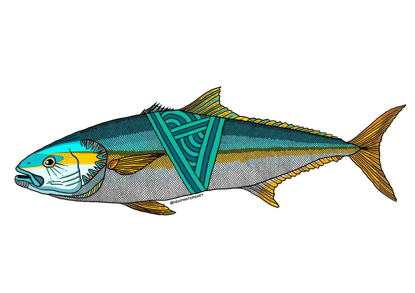 Yellowtail Kingfish Prints - **MONTHLY PREORDER** See description