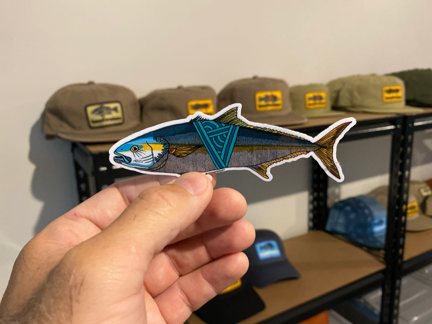 Yellowtail Kingfish Decals