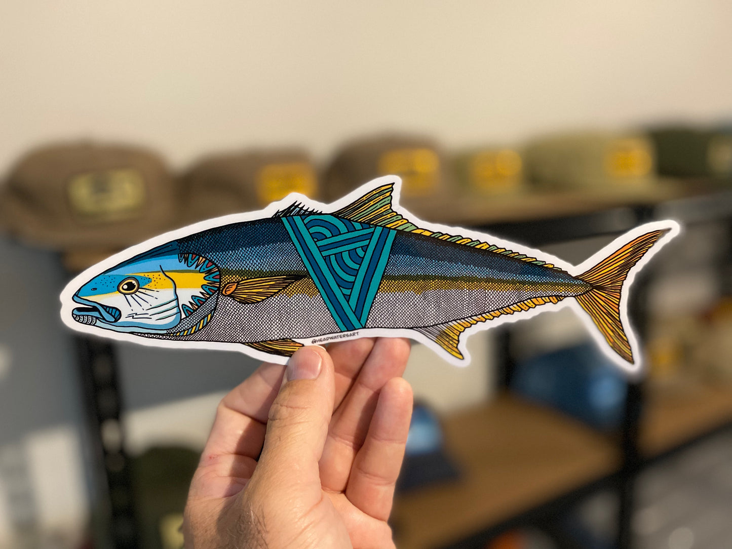 Yellowtail Kingfish Decals