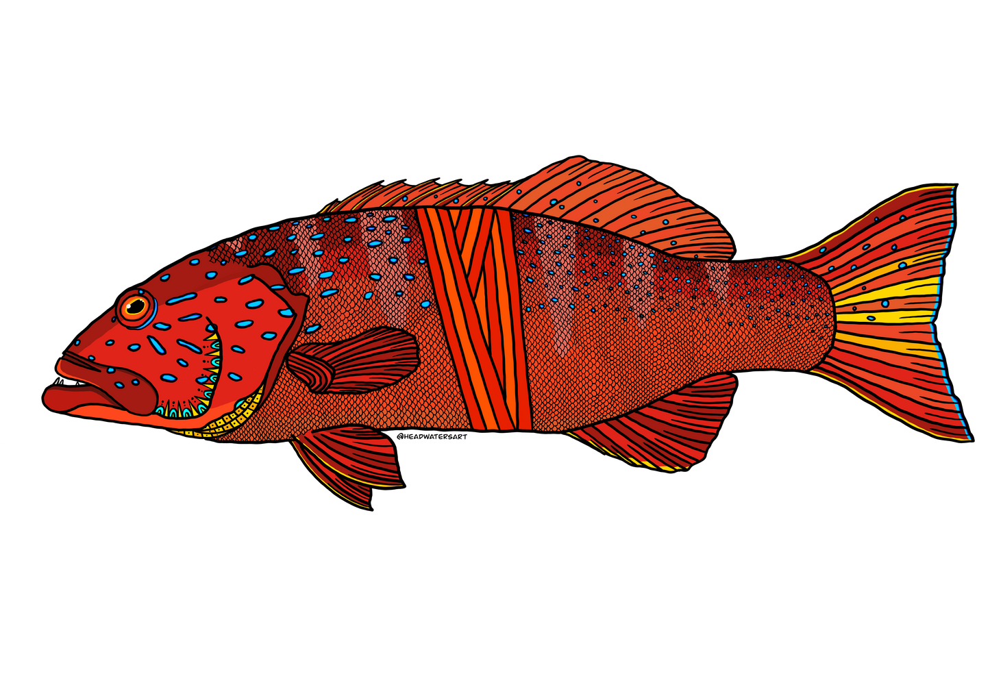 Coral Trout Decals