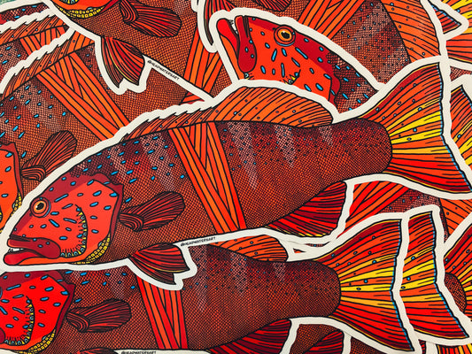 Coral Trout Decals