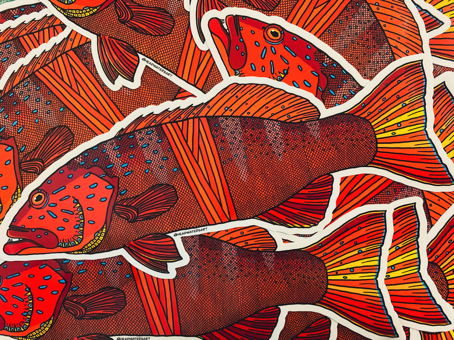 Coral Trout Decals