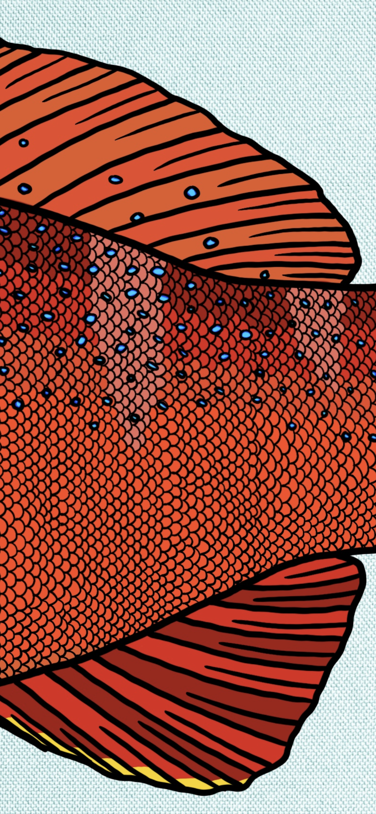 Coral Trout Decals