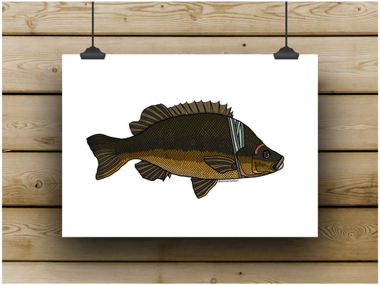 Sooty Grunter Prints - **MONTHLY PREORDER** See description