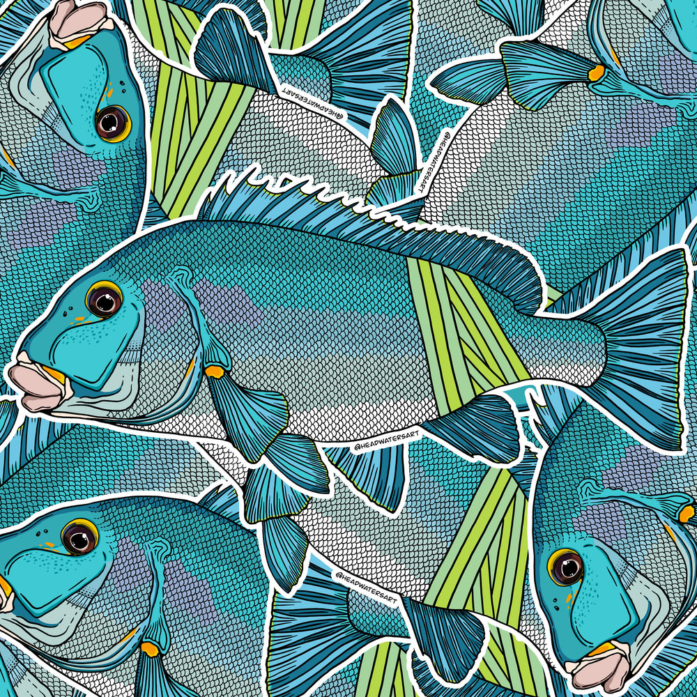 Headwaters Art and Angling Co – Headwaters Art and Fly Shop