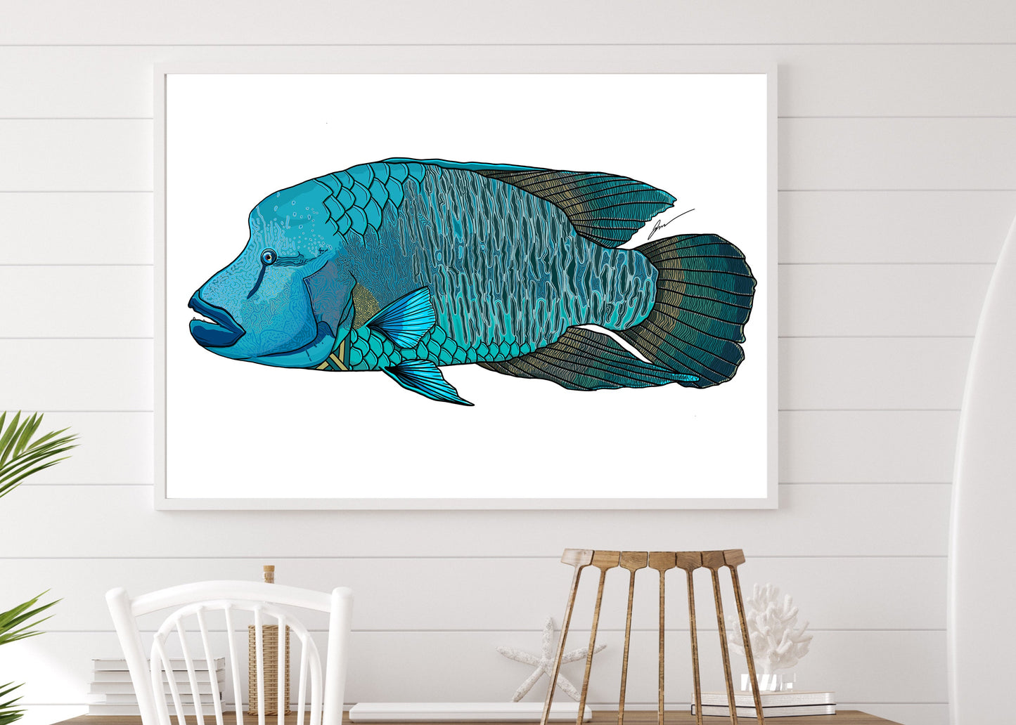 Wrasse Prints - **MONTHLY PREORDER** See description by