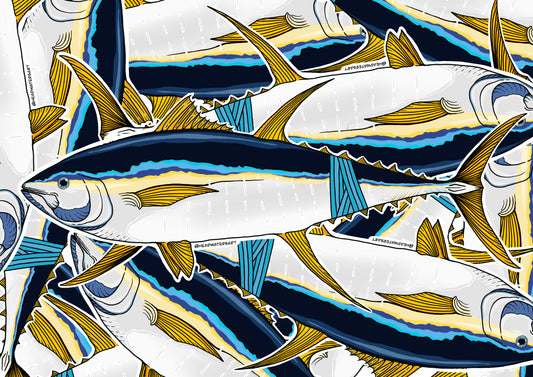 Yellowfin Tuna Decals