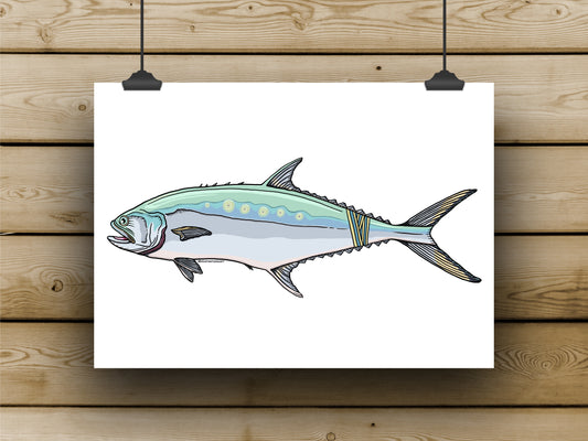 Queenfish Prints - APRIL **PREORDER**