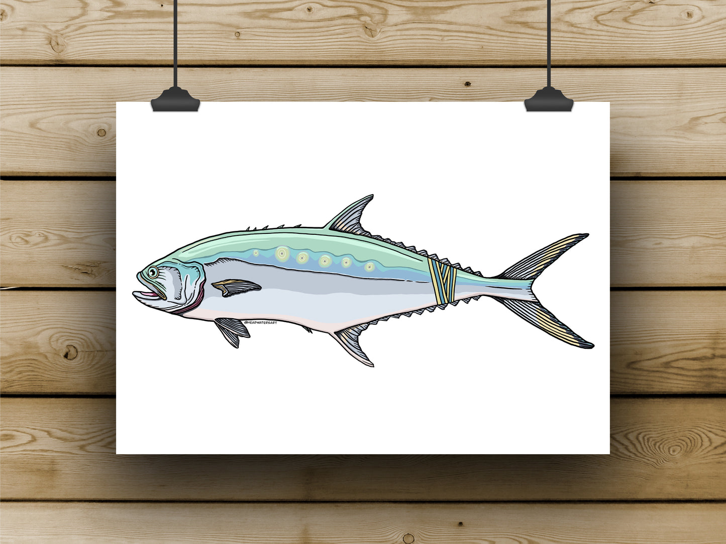 Queenfish Prints - **MONTHLY PREORDER** See description