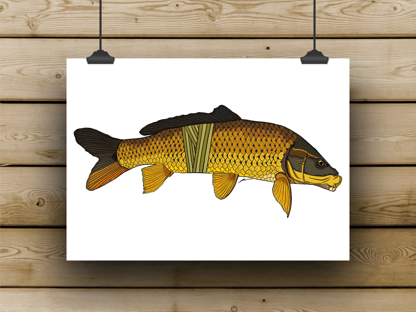 Carp Prints - **MONTHLY PREORDER** See description