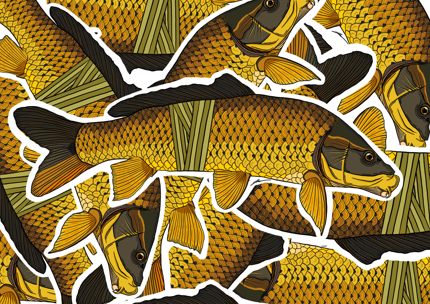Carp Decals