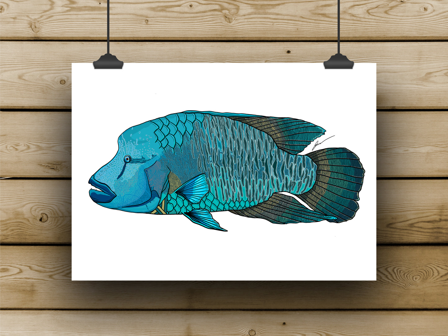 Wrasse Prints - **MONTHLY PREORDER** See description by