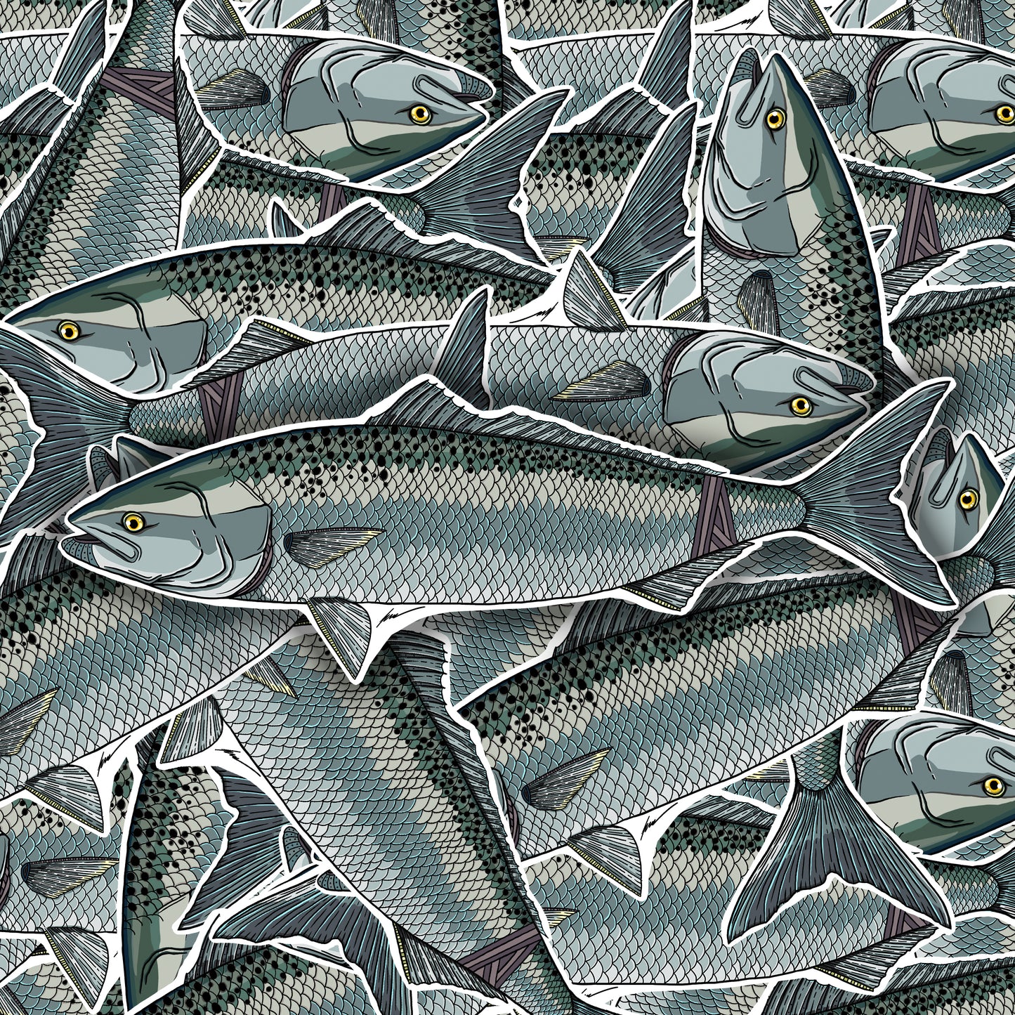 Aussie Salmon (Kahawai) Decals