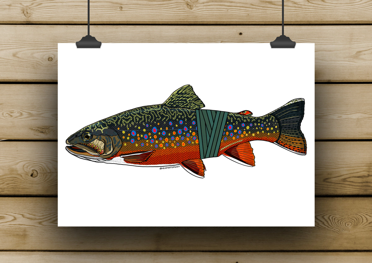 Brook Trout Prints - **MONTHLY PREORDER** See description