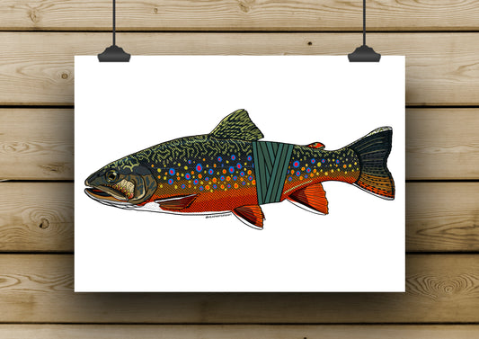 Brook Trout Prints - **MONTHLY PREORDER** See description