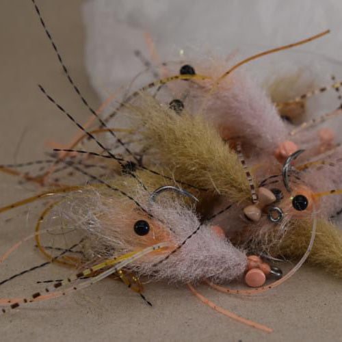 SANDY SHRIMPS