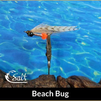 T'NF BEACH BUG