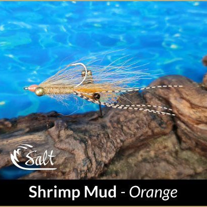 T'NF Mud Shrimp