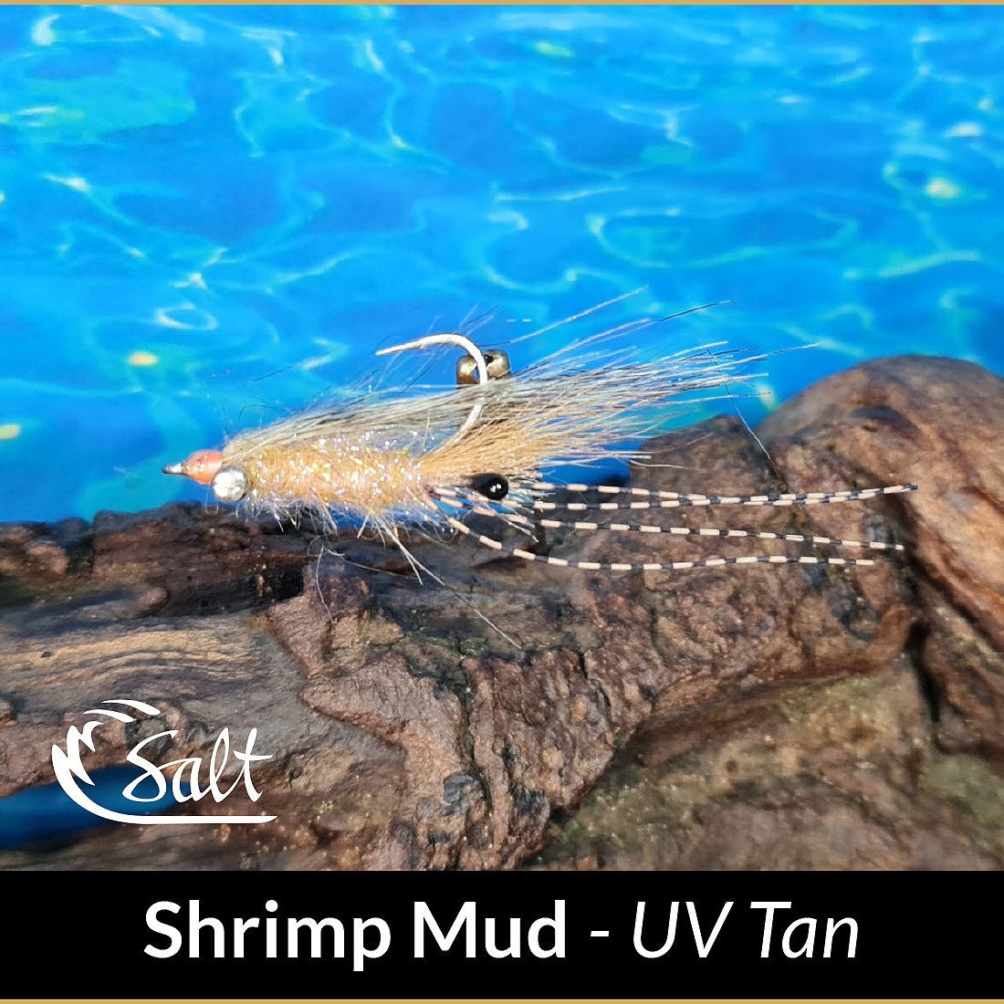T'NF Mud Shrimp
