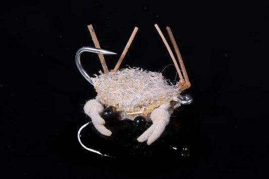 CONTRABAND CRAB