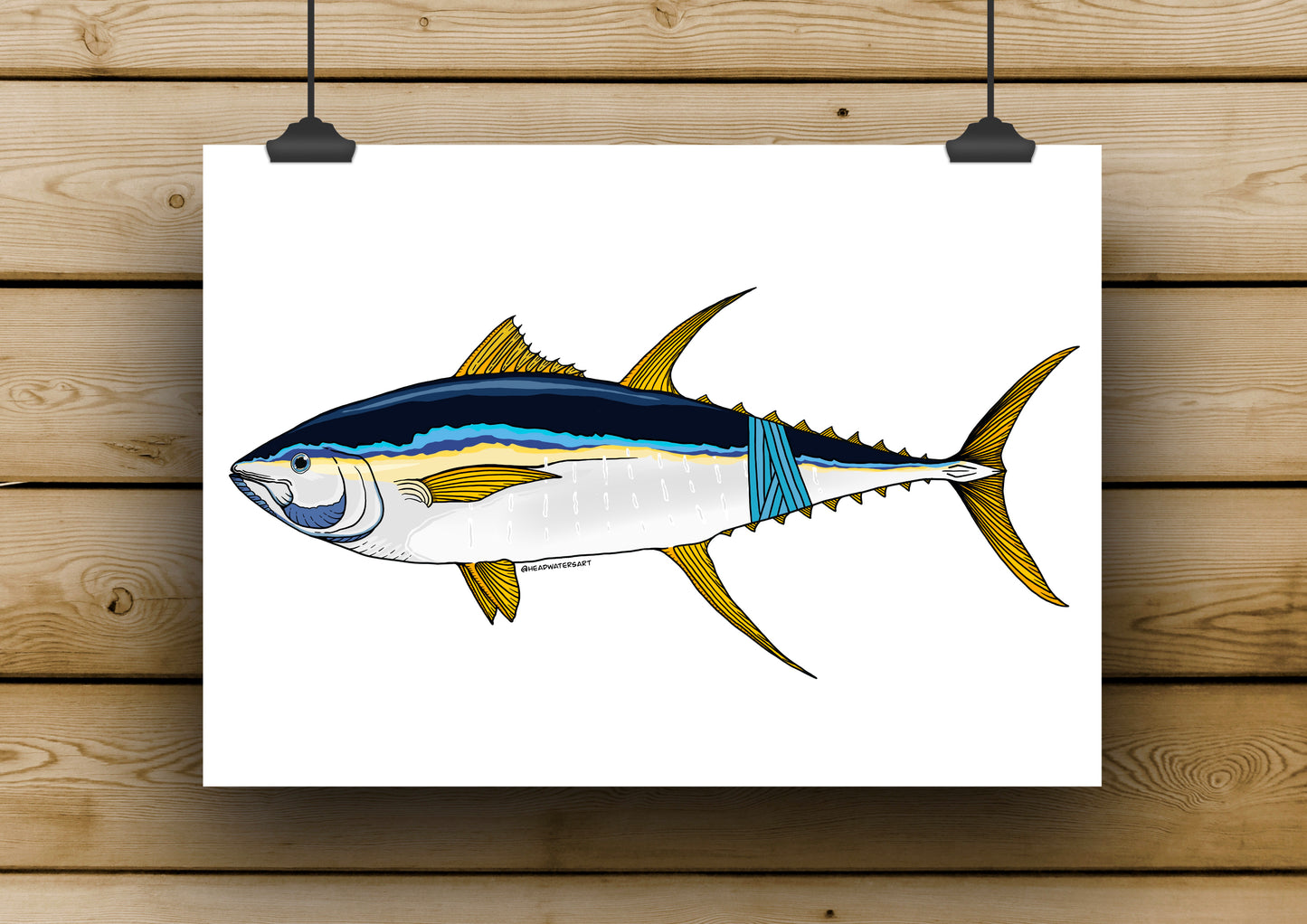 Yellowfin Tuna Prints - **MONTHLY PREORDER** See description