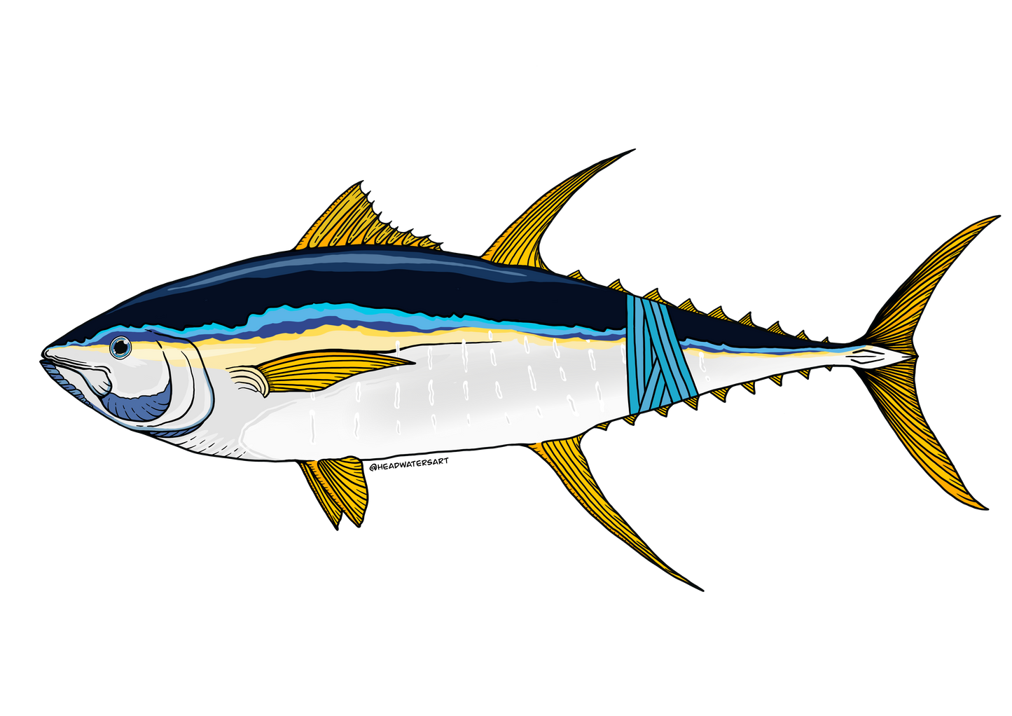 Yellowfin Tuna Decals