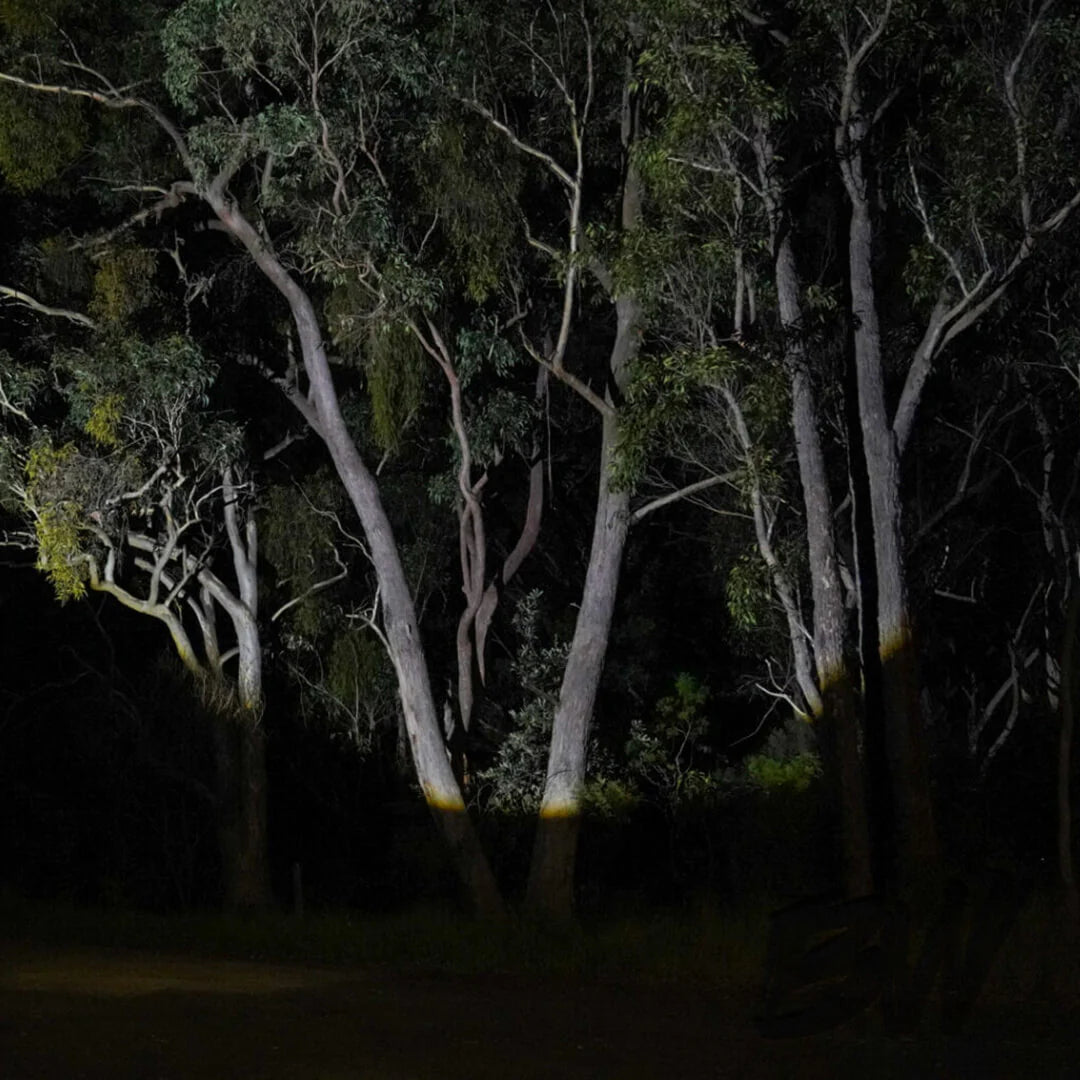 BUSHWAKKA OUTDOOR L.E.D. TORCH