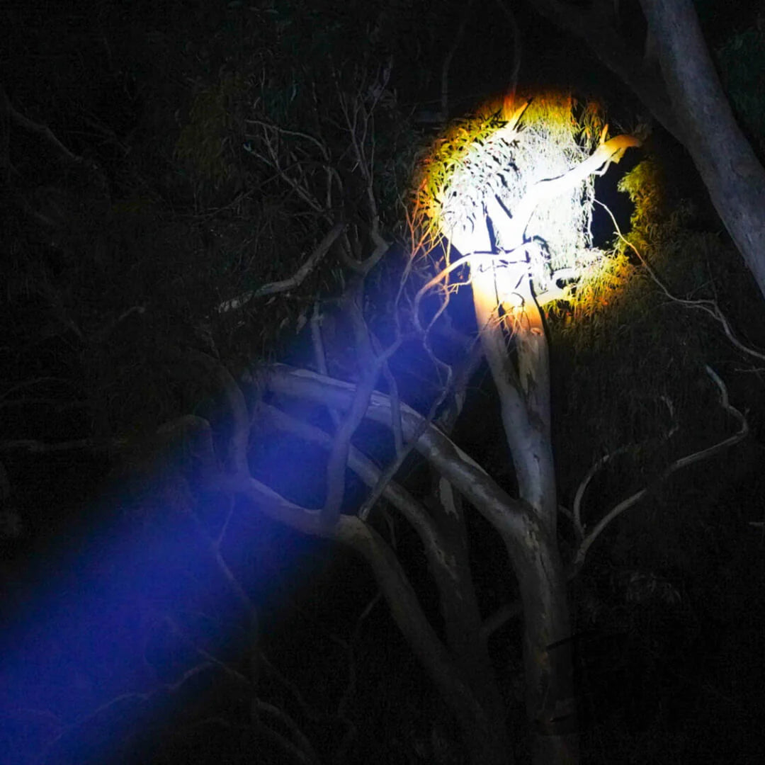 BUSHWAKKA OUTDOOR L.E.D. TORCH