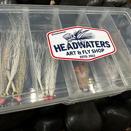 HW SALTWATER FLY STARTER KIT