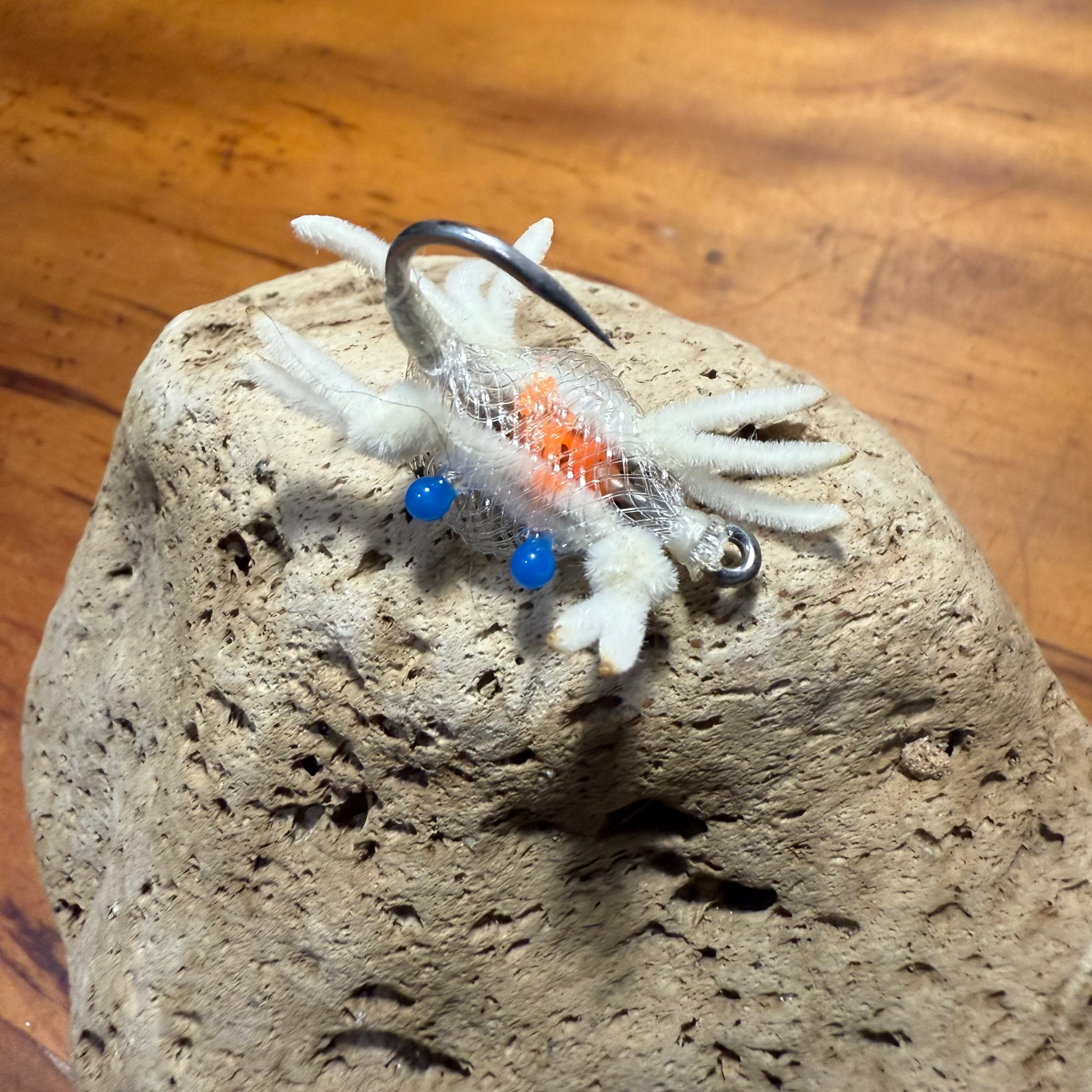 Alphlexo crabe on a rock with a wooden background