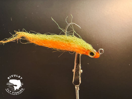 MARTINS MINNOW