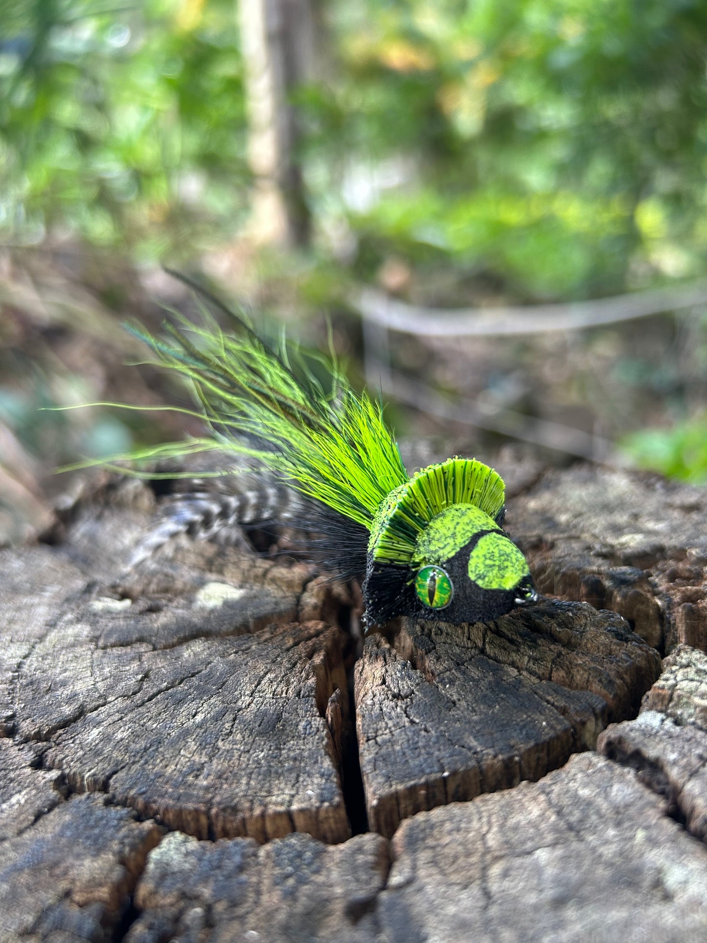 DAHLBERG DIVER - GREEN & BLACK