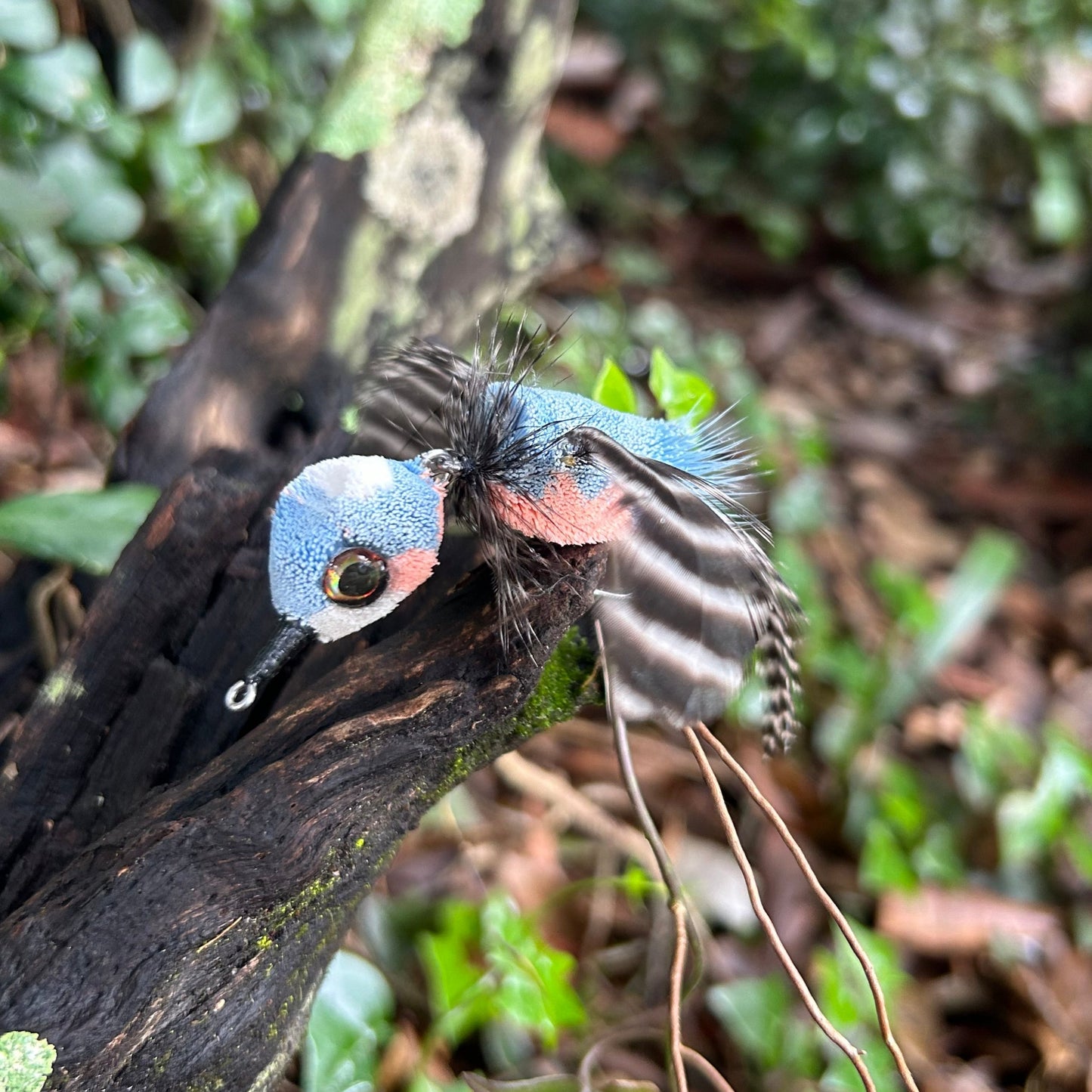 Azure King Fisher